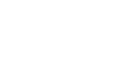 Peerless Engineered Systems Logo